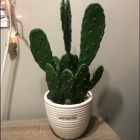 SOLD - Picture 2 of 6